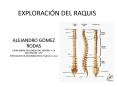EXPLORACIN DEL RAQUIS