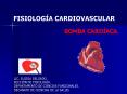 Diapositiva 1