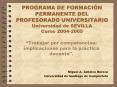 PROGRAMA DE FORMACIN PERMANENTE DEL PROFESORADO UNIVERSITARIO Universidad de SEVILLA Curso 20042005