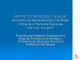 PROYECTO RESIDUOS Y DENGUE Secretara de SaludSecretara de Medio Ambiente y Recursos Naturales No tir