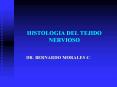 HISTOLOGIA DEL TEJIDO NERVIOSO