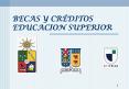 BECAS Y CRDITOS EDUCACION SUPERIOR