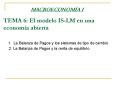 TEMA 6: El modelo ISLM en una economa abierta 1' La Balanza de Pagos y los sistemas de tipo de cambi