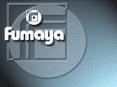 Encuesta Satisfaccion Interna Fumaya 2009