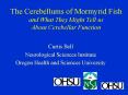 The Cerebellums of Mormyrid Fish and What They Might Tell us About Cerebellar Function