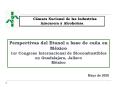Perspectivas del Etanol a base de caa en Mxico 1er Congreso Internacional de Biocombustibles en Guad