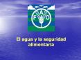 El agua y la seguridad alimentar