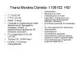 Triana Morales Daniela 1106102 HSI