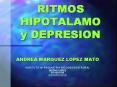RITMOS HIPOTALAMO y DEPRESION