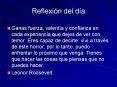 Reflexin del da