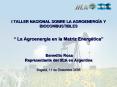 I TALLER NACIONAL SOBRE LA AGROENERGA Y BIOCOMBUSTIBLES La Agroenerga en la Matriz Energtica Benedit