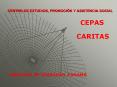 CENTRO DE ESTUDIOS, PROMOCI