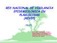 RED NACIONAL DE VIGILANCIA EPIDEMIOLOGICA EN PLAGUICIDAS REVEP