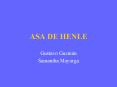 ASA DE HENLE