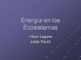 Energa en los Ecosistemas