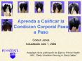 Aprenda a Calificar la Condicion Corporal Paso a Paso