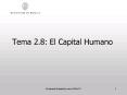 Tema 2'8: El Capital Humano