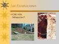 Las Excavaciones