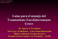 Guas para el manejo del Traumatismo Encefalocraneano Grave