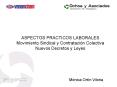 ASPECTOS PRACTICOS LABORALES Movimiento Sindical y Contratacin Colectiva Nuevos Decretos y Leyes Mni