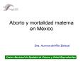 Aborto y mortalidad materna en Mxico