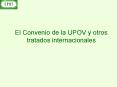 El Convenio de la UPOV y otros tratados internacionales