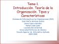 Tema 1' Introduccin' Teora de la Organizacin' Tipos y Caractersticas