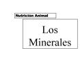 Los Minerales
