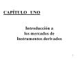CAPTULO UNO