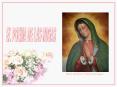 PARA TI, VIRGEN DE GUADALUPE: EL POEMA DE LAS ROSAS