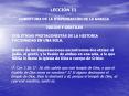 LECCIN 11