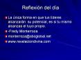 Reflexin del da