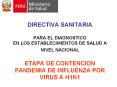 DIRECTIVA SANITARIA  PARA EL DIAGNOSTICO EN LOS ESTABLECIMIENTOS DE SALUD A NIVEL NACIONAL  ETAPA DE CONTENCION PANDEMIA DE INFLUENZA POR VIRUS A H1N1