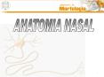 Sin ttulo de diapositiva