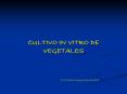 CULTIVO IN VITRO DE VEGETALES