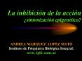 La inhibicin de la accin sintonizacin epigentica