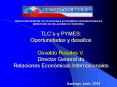 DIRECCION GENERAL DE RELACIONES ECONOMICAS INTERNACIONALES MINISTERIO DE RELACIONES EXTERIORES