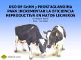 USO DE GnRH y PROSTAGLANDINA PARA INCREMENTAR LA EFICIENCIA REPRODUCTIVA EN HATOS LECHEROS
