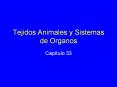 Tejidos Animales y Sistemas de Organos