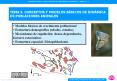 TEMA 5' CONCEPTOS Y MODELOS BSICOS DE DINMICA DE POBLACIONES ANIMALES