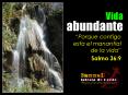 Vida abundante