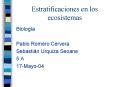 Estratificaciones en los ecosistemas