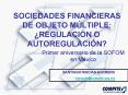 SOCIEDADES FINANCIERAS DE OBJETO MLTIPLE: REGULACIN O AUTOREGULACIN