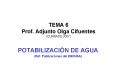 TEMA 6 Prof' Adjunto Olga Cifuentes CURSADO 2007