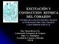 EXCITACIN Y CONDUCCION RITMICA DEL CORAZON