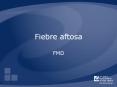 Fiebre aftosa