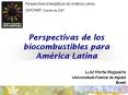 Perspectivas de los biocombustibles para Amrica Latina