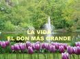 LA VIDA EL DON MS GRANDE