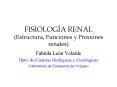 FISIOLOGA RENAL Estructura, Funciones y Presiones renales
