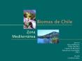Presentacin de PowerPoint